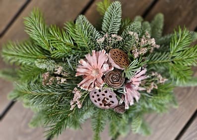LitenLiggareRosaProtea