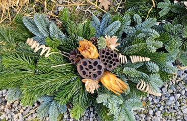 MellanLiggareProtea