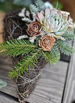 PilhjartaEcheveria