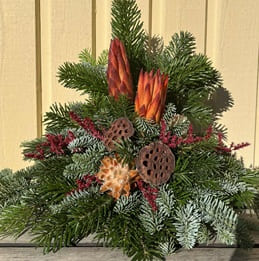 SkopaRodProtea