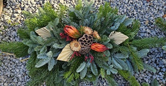 StorLiggareRodProtea